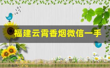 福建云霄香烟微信一手货源