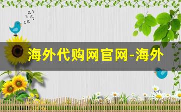 海外代购网官网-海外正品代购网站