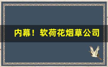 内幕！软荷花烟草公司批发价“分化瓦解”
