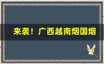 来袭！广西越南烟国烟免税烟一手代理货源“公共场所”