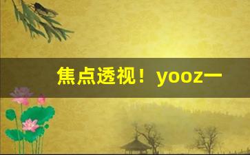 焦点透视！yooz一次性电子烟图片“璀璨夺目”