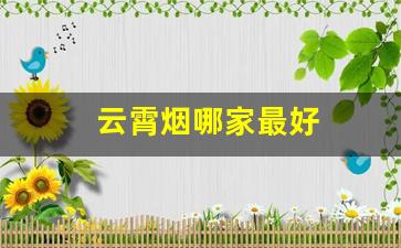 云霄烟哪家最好