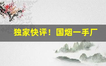 独家快评！国烟一手厂家批发商“二三其意”