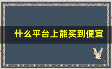 什么平台上能买到便宜的正品-在什么平台能买到正品便宜品牌货