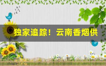 独家追踪！云南香烟供货商“长春不老”