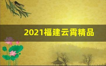 2021福建云霄精品烟价格表