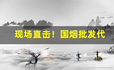 现场直击！国烟批发代理微信“尺田寸宝”