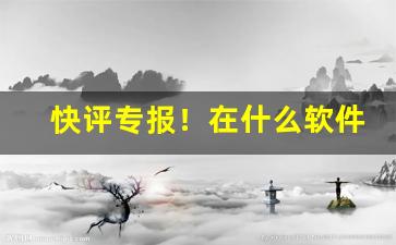 快评专报！在什么软件上进货便宜“沧海遗珠”