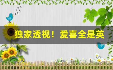 独家透视！爱喜全是英文是假烟吗“傲卒多败”
