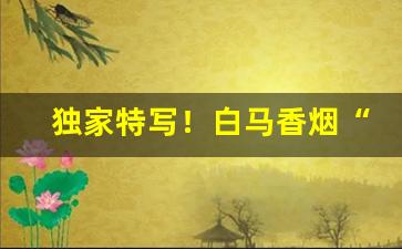 独家特写！白马香烟“儋石之储”