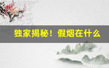 独家揭秘！假烟在什么地方销量大“不远万里”