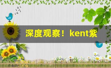 深度观察！kent紫冰哪里买“岑楼齐末”