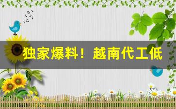 独家爆料！越南代工低价烟一手总仓“断织劝学”