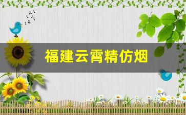 福建云霄精仿烟