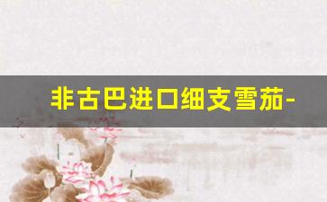 非古巴进口细支雪茄-国产又粗又便宜的雪茄