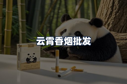 云霄香烟批发